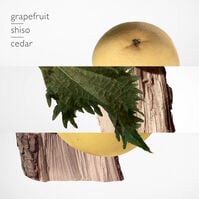 Terre d'Hermès  200ml-200879 Terre d'Hermès  200ml-200879 2